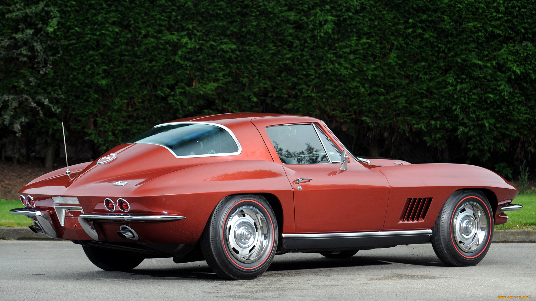 corvette, , , gm, chevrolet, division